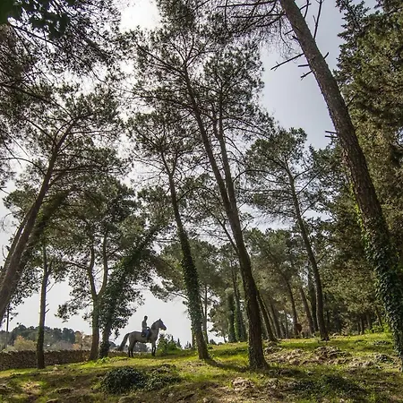 Casale Dei Pini - Nature Farm stay Martina Franca