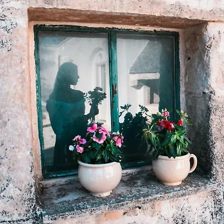 Farm stay Casale Dei Pini - Nature